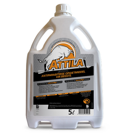 Attila