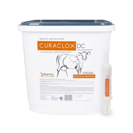 Curaclox DC Intramammary