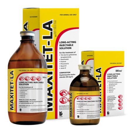 Maxitet LA