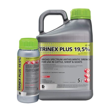 Trinex Plus 19.5%