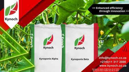 Kynoponix Beta®