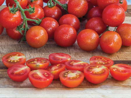 Tomato Robin