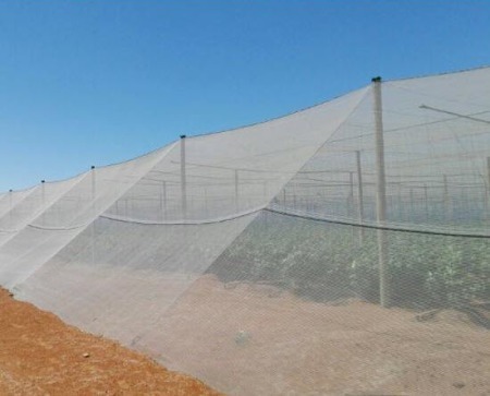 Shade net