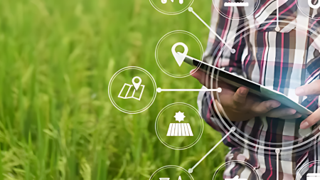 CropScope | Digital agriculture utilising AI and data analytics