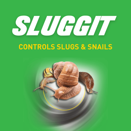 Sluggit Snail Bait