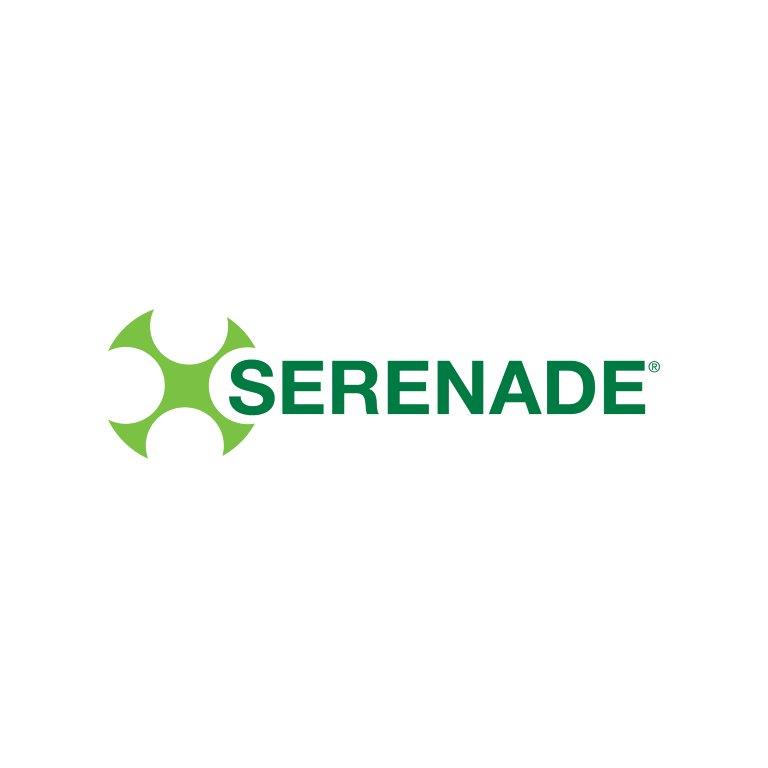 Serenade