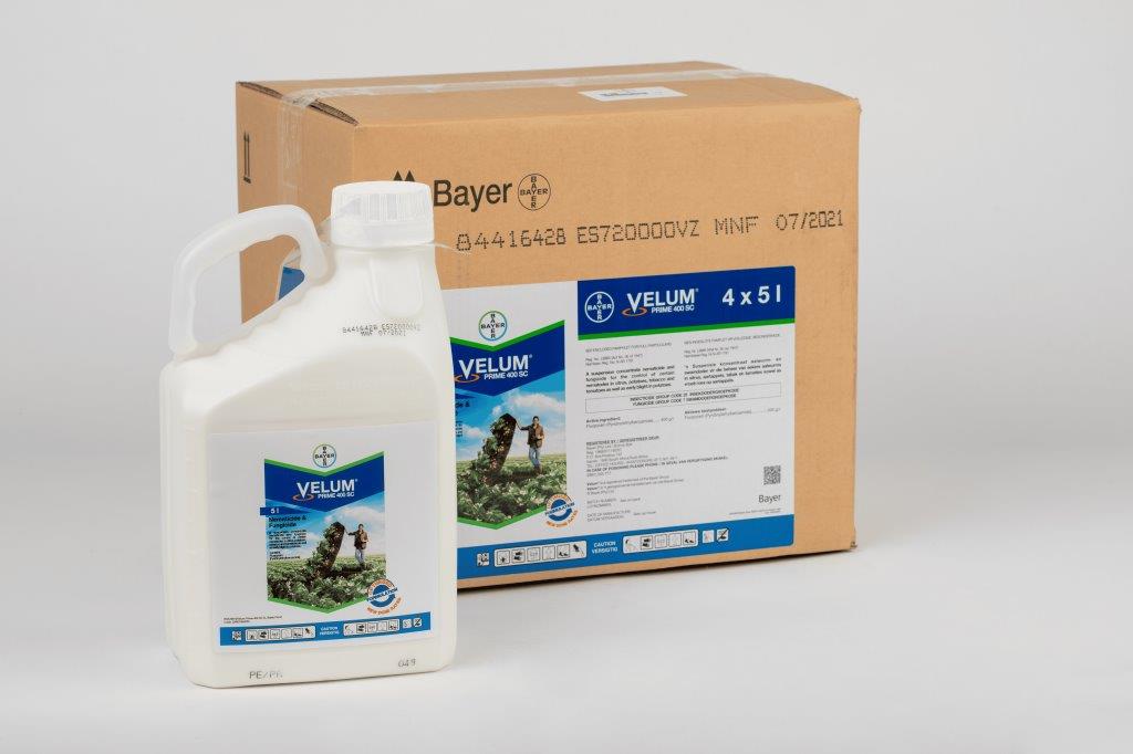 Velum® 1 GR