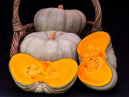 Pumpkin Sampson