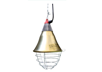 Interheat Protector
