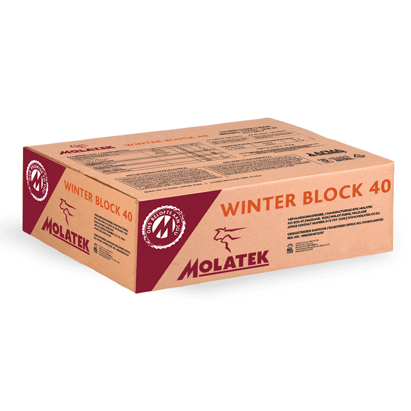 MOLATEK WINTER BLOCK 40