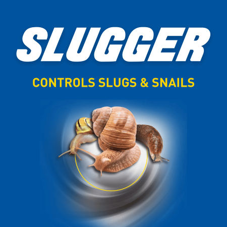 Slugger Snail Bait