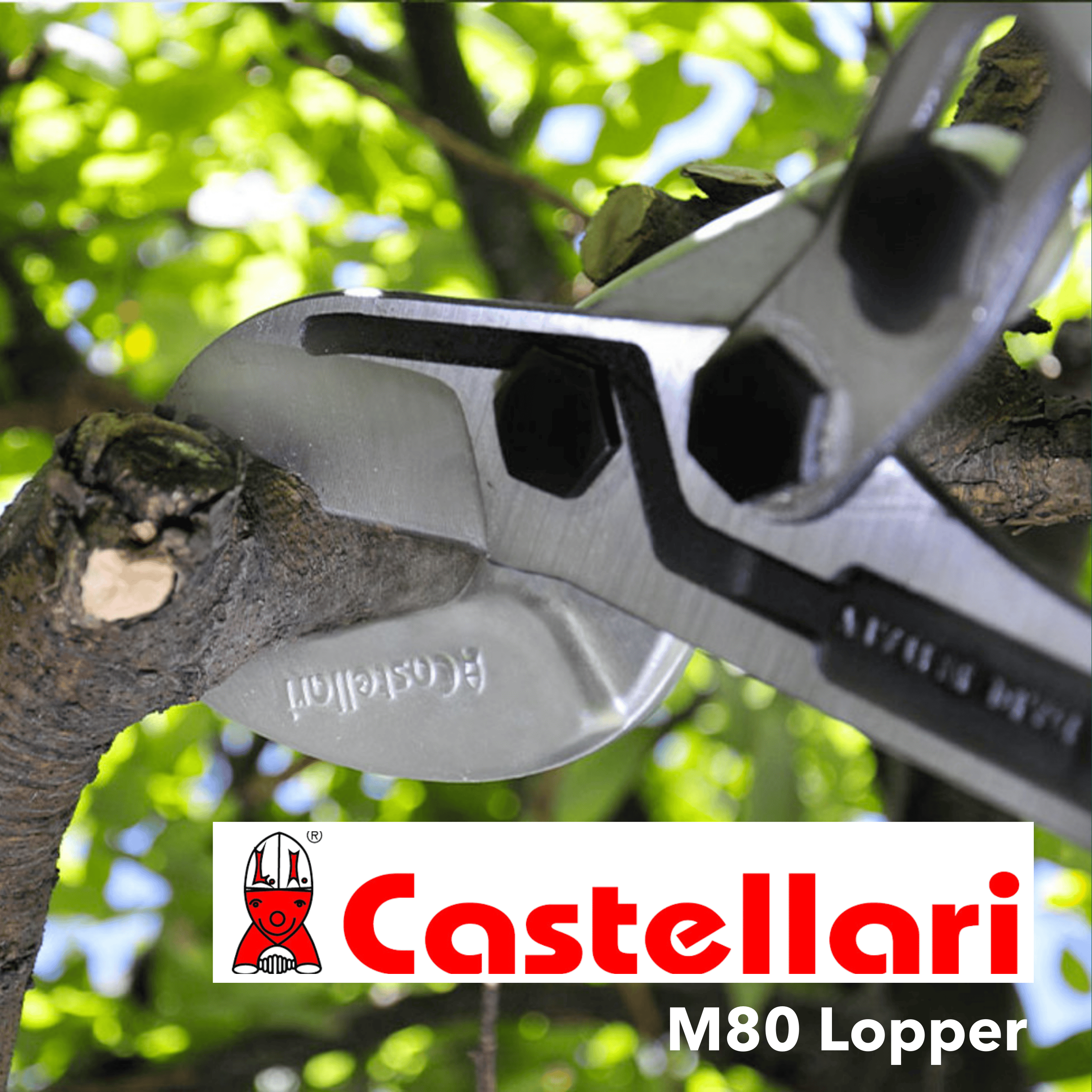 M80 Lopper