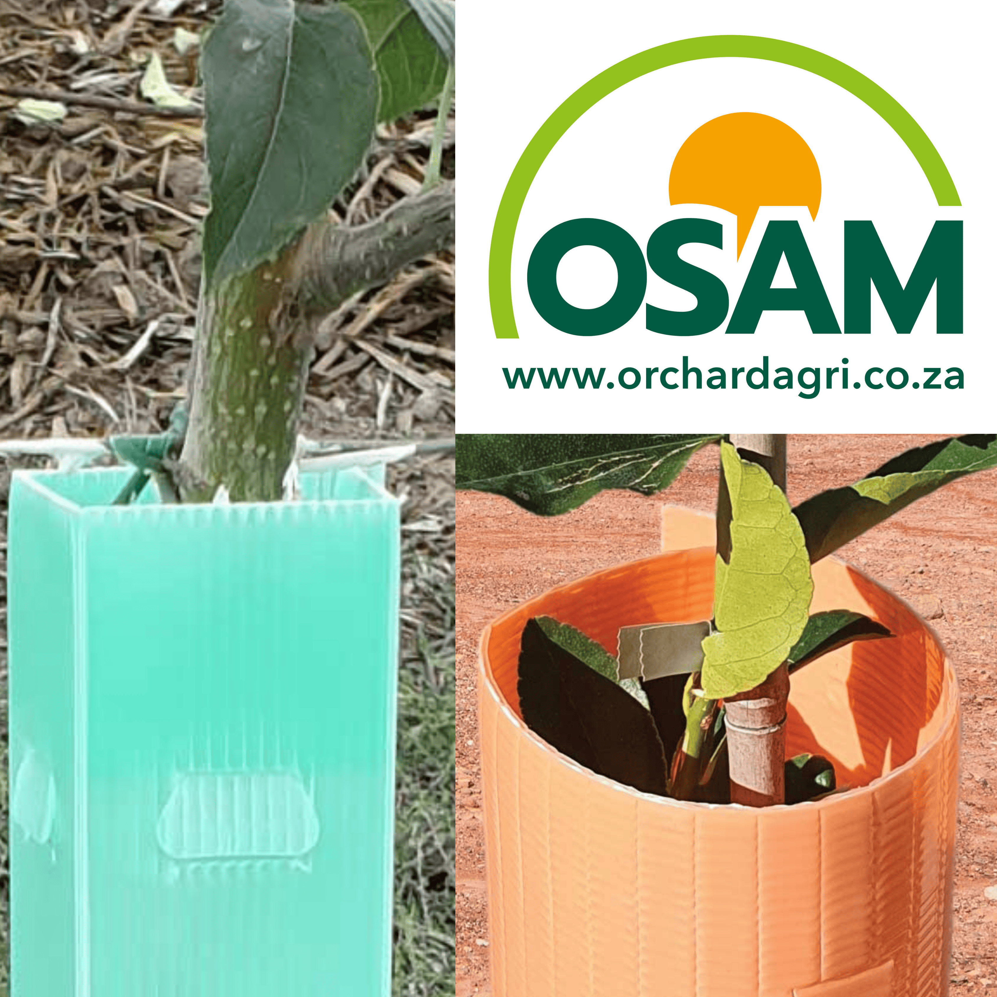 OSAM Planting Materials
